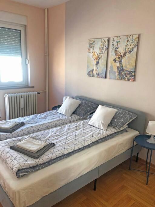 Quince Apartment-Free Parking-City Center Belgrado Exterior foto